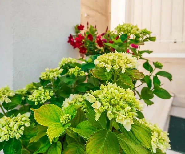 Gelo Appartement Klek