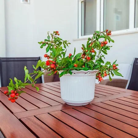 Apartamento Gelo Klek